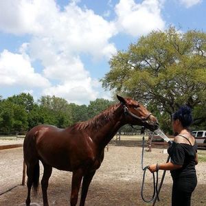 Meet your Posher, Victoria